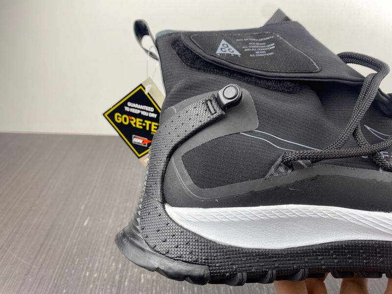 ACG Terra Antarktik GORE-TEX  BV6348-200