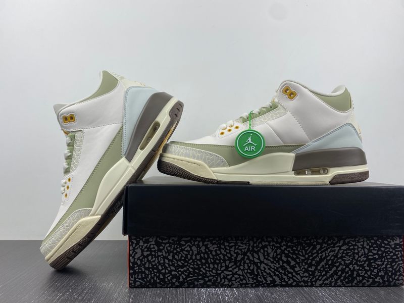 Air Jordan 3 Retro DX6660-800