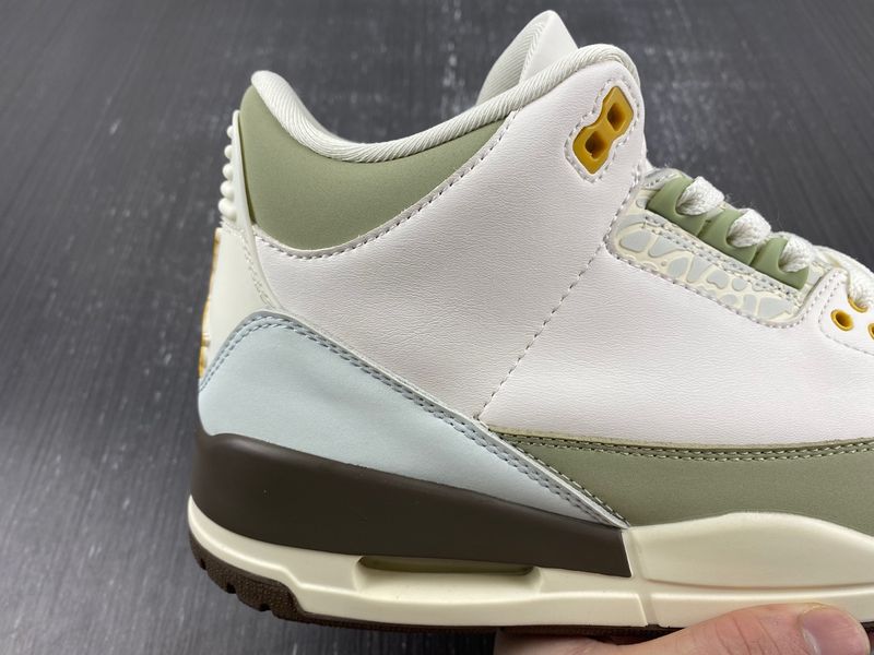 Air Jordan 3 Retro DX6660-800