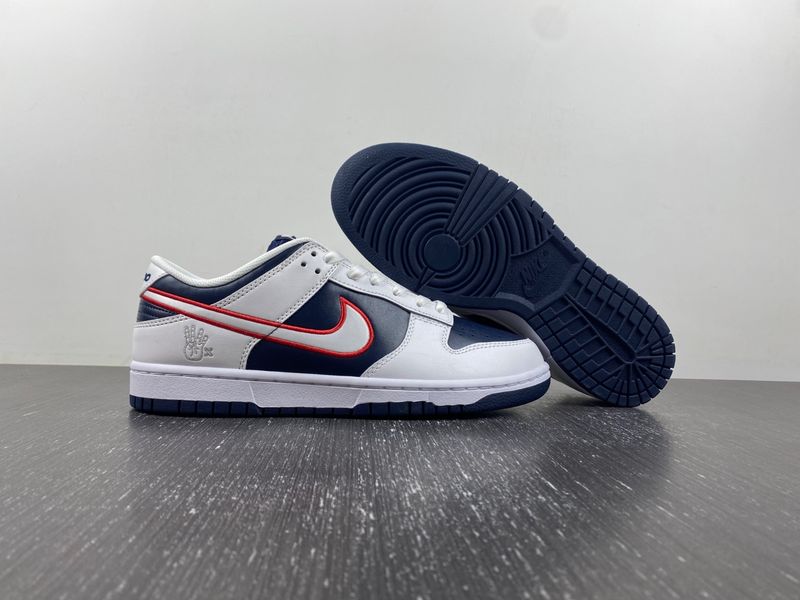 Dunk Low Houston Comets Four-Peat DZ2780-100