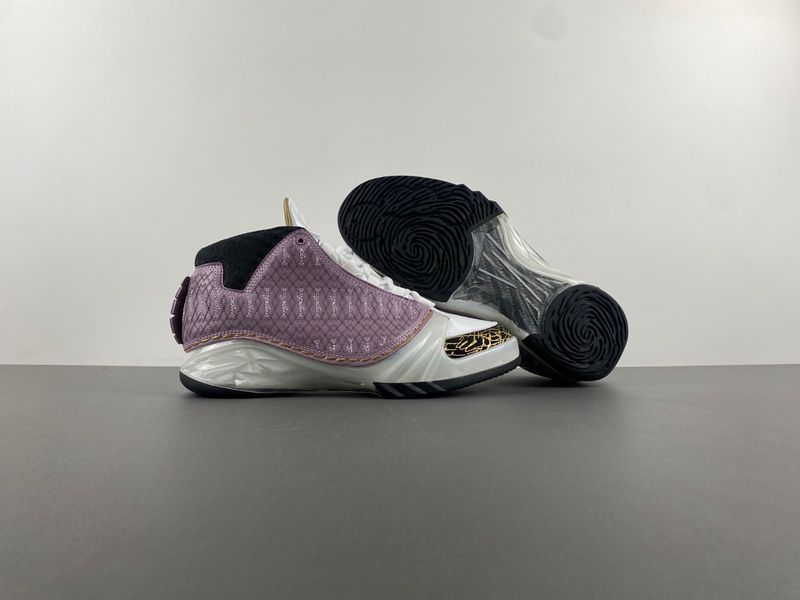Air Jordan 23 White Stealth 318376-102