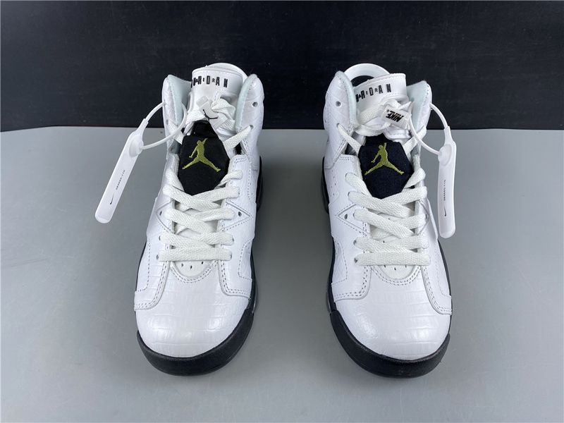 Air Jordan 6 Retro Alligator  384665-110