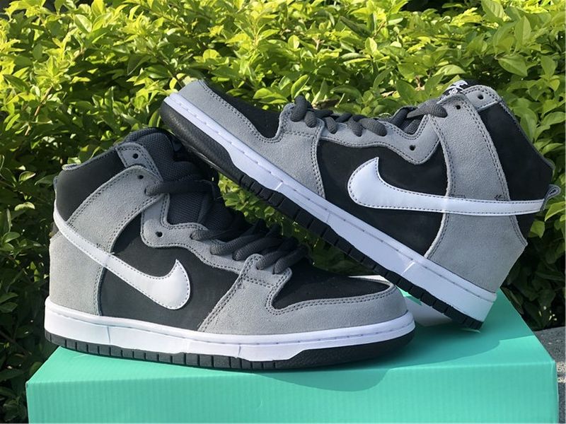 Nike Dunk SB High 854851 010