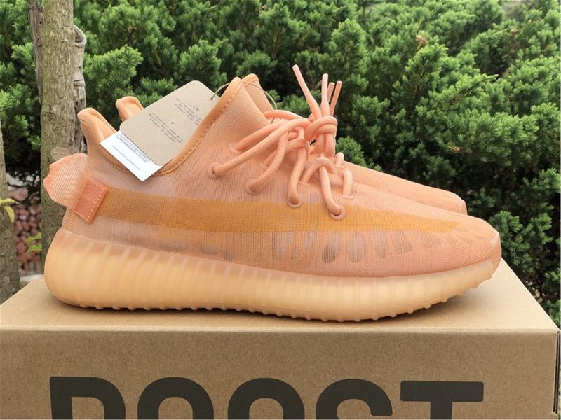 Yeezy Boost 350 V2 GW2870