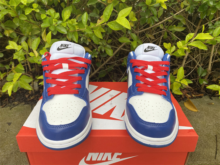 Nike SB Dunk Low GS CW1590-104