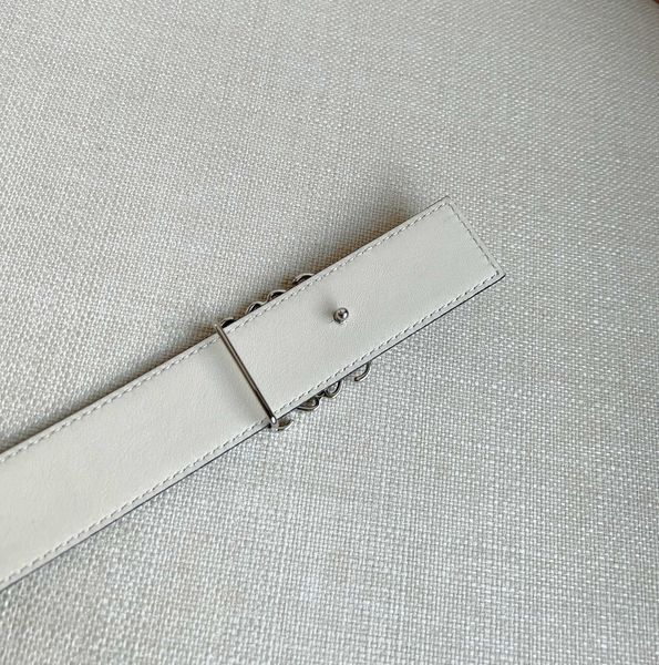 L*oewe Top Belts  AT 20230904-39