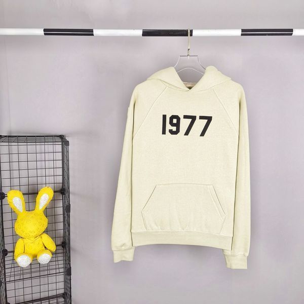 E*ssentials Hoodies Top Quality WM 20230925-93