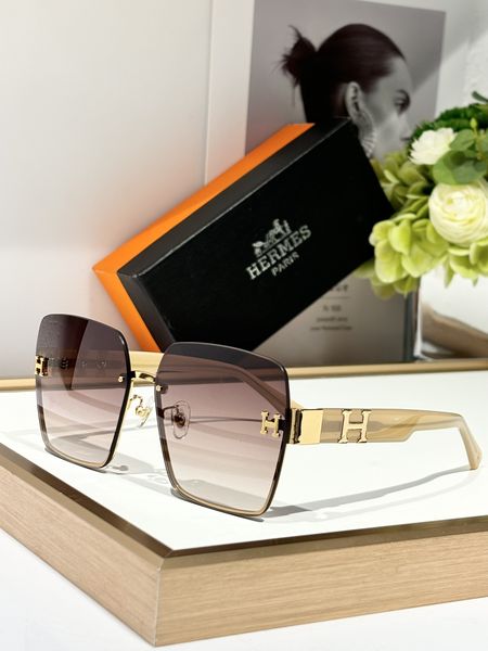 H*ermes Glasses Top XX  20250113-30