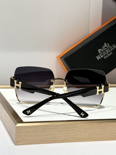 H*ermes Glasses Top XX  20250113-30